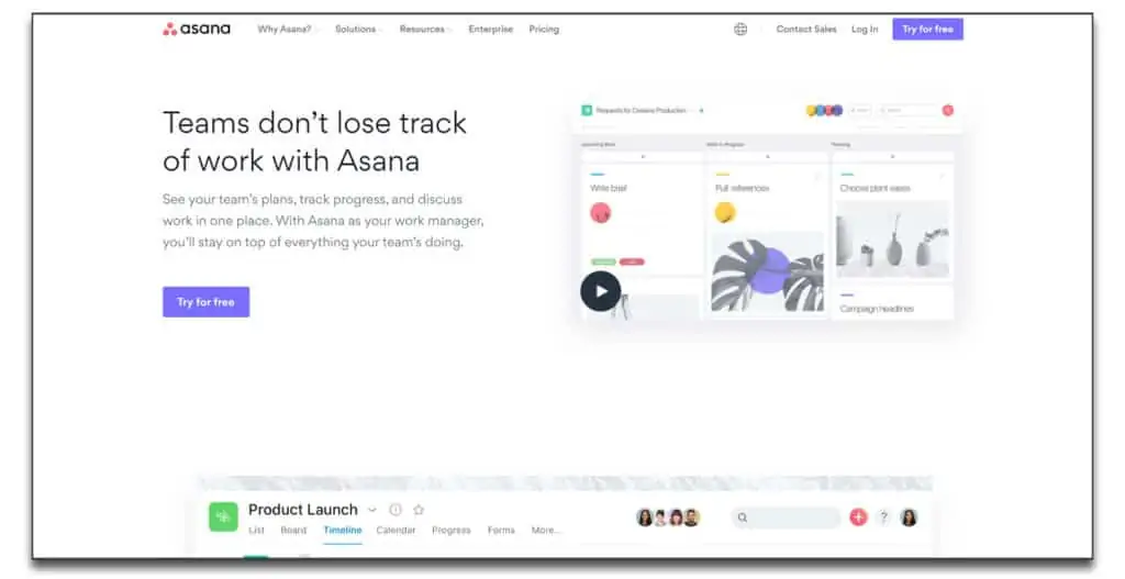 asana proejct management