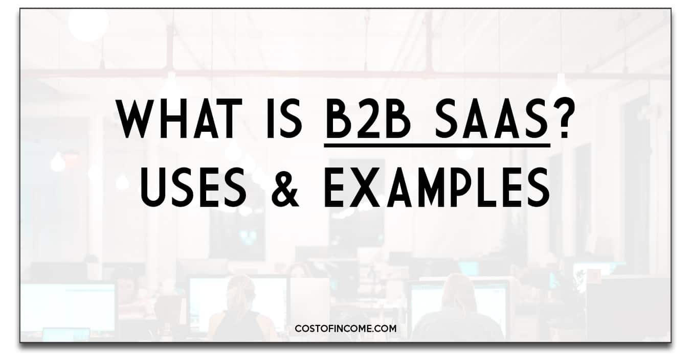 b2b-saas-meaning-explained-cost-of-income-on9income